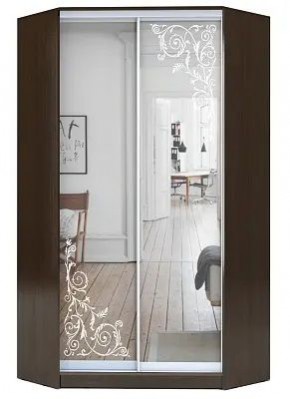Шкаф-купе ХИТ-У-23-4-66 ОРНАМЕНТ в Салехарде - salekhard.mebel24.online | фото