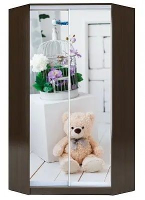 Шкаф-купе ХИТ-У-R-23-64-77 МИШКА В ИНТЕРЬЕРЕ в Салехарде - salekhard.mebel24.online | фото
