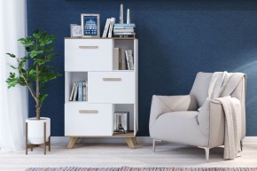Шкаф низкий с нишами Вега Скандинавия в Салехарде - salekhard.mebel24.online | фото 4