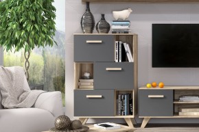 Шкаф низкий с нишами Вега Скандинавия в Салехарде - salekhard.mebel24.online | фото 6