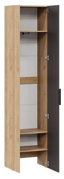 Шкаф платяной Асти в Салехарде - salekhard.mebel24.online | фото 2