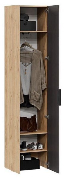 Шкаф платяной Асти в Салехарде - salekhard.mebel24.online | фото 3