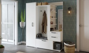Шкаф платяной Эрика в Салехарде - salekhard.mebel24.online | фото 3