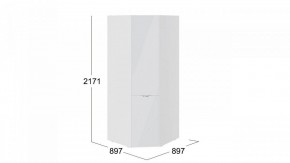 Шкаф платяной Глосс СМ-319.07.311 в Салехарде - salekhard.mebel24.online | фото 3