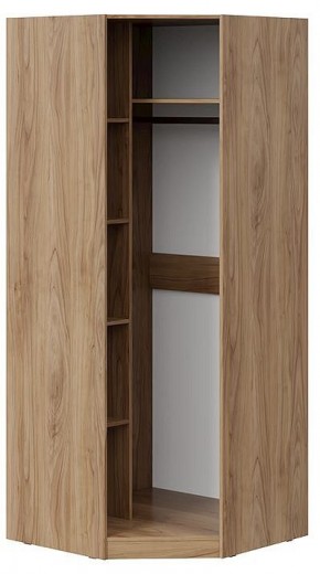 Шкаф платяной Глосс СМ-319.07.312 в Салехарде - salekhard.mebel24.online | фото 2
