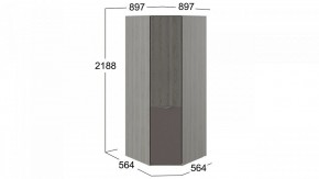 Шкаф платяной Либерти СМ-297.07.033 в Салехарде - salekhard.mebel24.online | фото 3