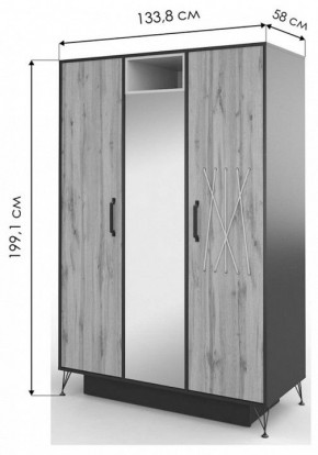 Шкаф платяной Нобира в Салехарде - salekhard.mebel24.online | фото 3