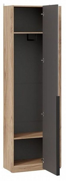 Шкаф платяной Порто СМ-393.07.232 в Салехарде - salekhard.mebel24.online | фото 2