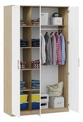 Шкаф платяной Сэнди в Салехарде - salekhard.mebel24.online | фото 3