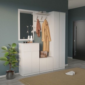 Шкаф платяной ШО-4 в Салехарде - salekhard.mebel24.online | фото 6