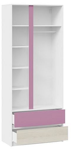 Шкаф платяной Сканди в Салехарде - salekhard.mebel24.online | фото 4