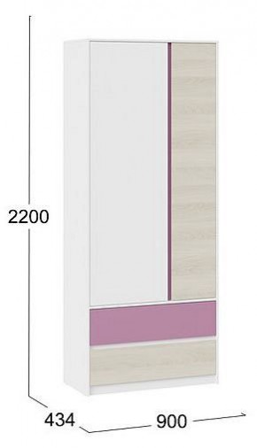 Шкаф платяной Сканди в Салехарде - salekhard.mebel24.online | фото 5