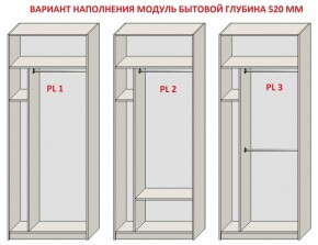 Шкаф распашной серия «ЗЕВС» (PL3/С1/PL2) Серый камень/Небраска натуральный в Салехарде - salekhard.mebel24.online | фото 5