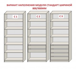 Шкаф распашной серия «ЗЕВС» (PL3/С1/PL2) Серый камень/Небраска натуральный в Салехарде - salekhard.mebel24.online | фото 6