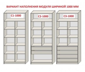 Шкаф распашной серия «ЗЕВС» (PL3/С1/PL2) Серый камень/Небраска натуральный в Салехарде - salekhard.mebel24.online | фото 7