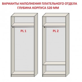 Шкаф распашной серия «ЗЕВС» (PL3/С1/PL2) Серый камень/Небраска натуральный в Салехарде - salekhard.mebel24.online | фото 9