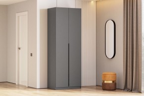 Шкаф ШК-5 (800) Графит серый в Салехарде - salekhard.mebel24.online | фото 1