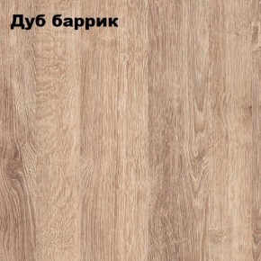 ГРАФ Стеллаж (дуб баррик) в Салехарде - salekhard.mebel24.online | фото 2