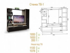 Стенка для гостиной ТВ-1 в Салехарде - salekhard.mebel24.online | фото 2