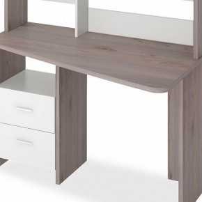 Стол компьютерный Домино Лайт СКЛ-Трап120+НКЛ-120 в Салехарде - salekhard.mebel24.online | фото 2