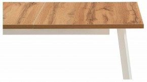 Стол обеденный Колон Лофт в Салехарде - salekhard.mebel24.online | фото 6