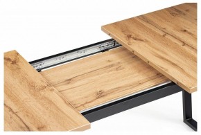 Стол обеденный Лота Лофт в Салехарде - salekhard.mebel24.online | фото 9