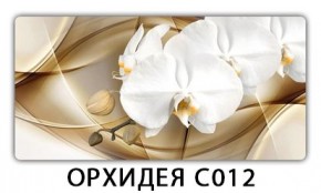 Стол раздвижной Трилогия с фотопечатью Доска D110 в Салехарде - salekhard.mebel24.online | фото 13