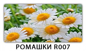 Стол раздвижной Трилогия с фотопечатью Доска D110 в Салехарде - salekhard.mebel24.online | фото 15