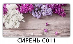 Стол раздвижной Трилогия с фотопечатью Доска D110 в Салехарде - salekhard.mebel24.online | фото 16