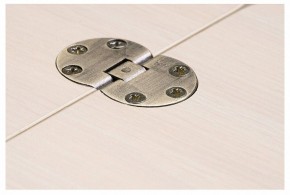 Стол-трансформер Престиж в Салехарде - salekhard.mebel24.online | фото 10