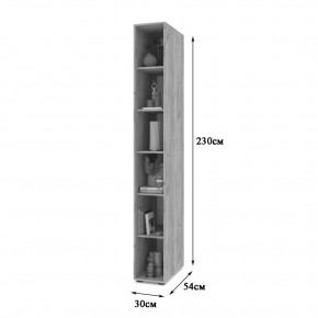 СТОУН С10 Пенал-стеллаж (дуб золотой) в Салехарде - salekhard.mebel24.online | фото 2