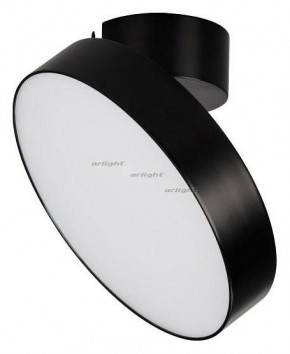 Светильник на штанге Arlight SP-RONDO-FLAP-R210-20W Day4000 (BK, 110 deg) 026453 в Салехарде - salekhard.mebel24.online | фото 2