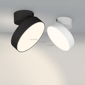 Светильник на штанге Arlight SP-RONDO-FLAP-R210-20W Day4000 (BK, 110 deg) 026453 в Салехарде - salekhard.mebel24.online | фото 3
