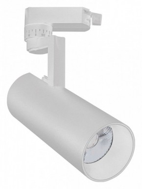 Светильник на штанге Escada 20029 20029TRA/02LED SWH в Салехарде - salekhard.mebel24.online | фото
