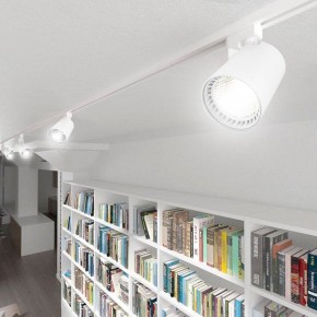 Светильник на штанге Feron AL100 41607 в Салехарде - salekhard.mebel24.online | фото 7