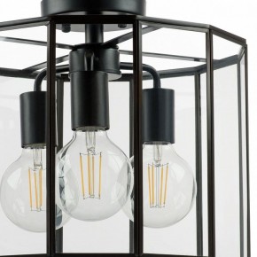 Светильник на штанге Lightstar Genni 798237 в Салехарде - salekhard.mebel24.online | фото 4
