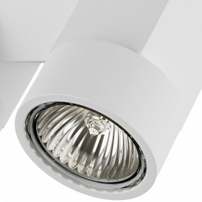 Светильник на штанге Lightstar Illumo X2 051036 в Салехарде - salekhard.mebel24.online | фото 2
