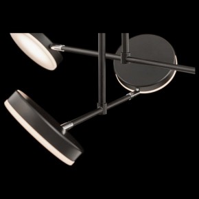 Светильник на штанге Maytoni Fad MOD070PL-L38B3K в Салехарде - salekhard.mebel24.online | фото 4