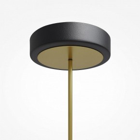 Светильник на штанге Maytoni Link MOD357PL-L40BS3K в Салехарде - salekhard.mebel24.online | фото 7