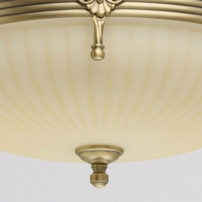 Светильник на штанге MW-Light Афродита 1 317011504 в Салехарде - salekhard.mebel24.online | фото 4
