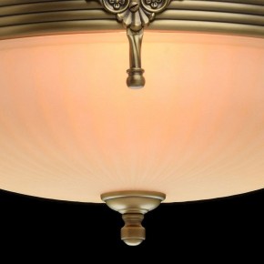 Светильник на штанге MW-Light Афродита 1 317011504 в Салехарде - salekhard.mebel24.online | фото 5