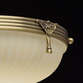 Светильник на штанге MW-Light Афродита 1 317011504 в Салехарде - salekhard.mebel24.online | фото 8