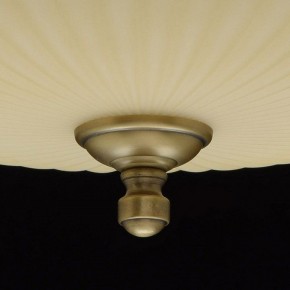 Светильник на штанге MW-Light Афродита 1 317011504 в Салехарде - salekhard.mebel24.online | фото 9
