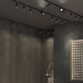 Светильник на штанге Novotech Elina 370777 в Салехарде - salekhard.mebel24.online | фото 4
