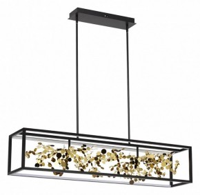 Светильник на штанге Odeon Light Bild 5065/65L в Салехарде - salekhard.mebel24.online | фото