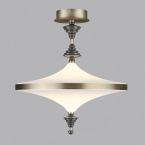 Светильник на штанге Odeon Light Ula 5404/43CL в Салехарде - salekhard.mebel24.online | фото 3