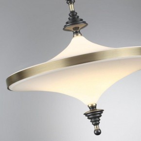 Светильник на штанге Odeon Light Ula 5404/43CL в Салехарде - salekhard.mebel24.online | фото 6