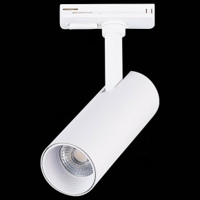 Светильник на штанге ST-Luce Mono ST350.536.10.36 в Салехарде - salekhard.mebel24.online | фото 6