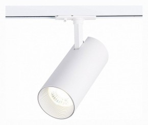 Светильник на штанге ST-Luce Mono ST350.536.30.36 в Салехарде - salekhard.mebel24.online | фото 2