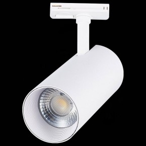 Светильник на штанге ST-Luce Mono ST350.536.30.36 в Салехарде - salekhard.mebel24.online | фото 6
